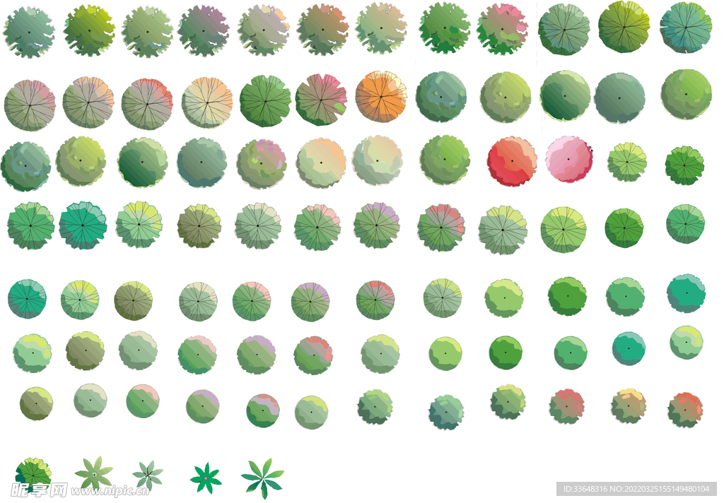 园林设计花草植物树木