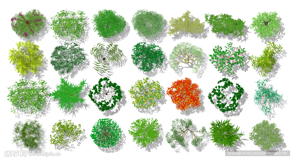 园林花卉花草植物树木草坪