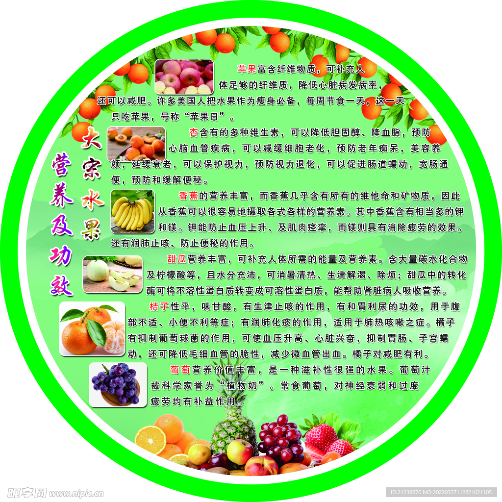 水果营养及功效展板圆形