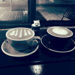 黑白 摄影 咖啡 小猫 安静 