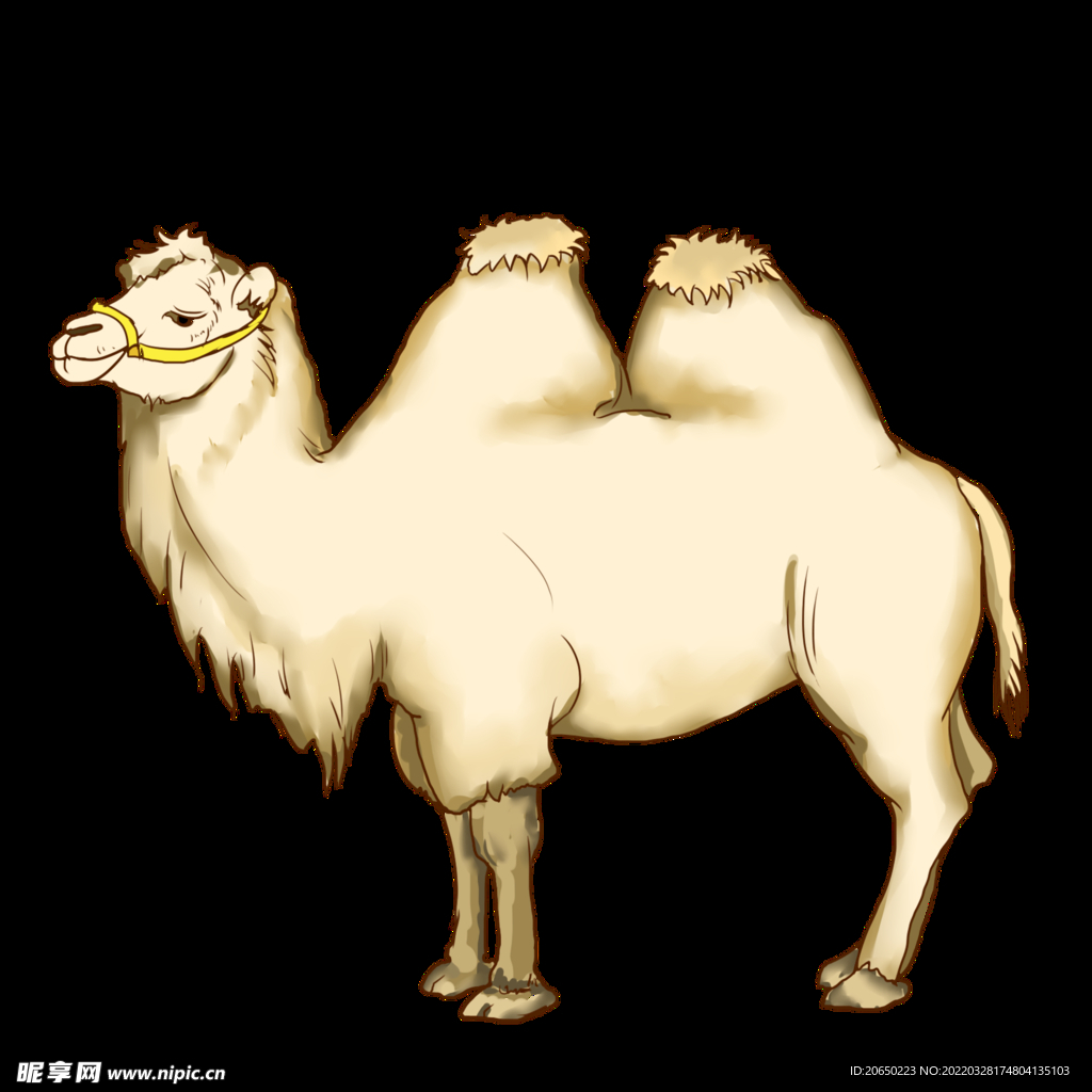 手绘骆驼