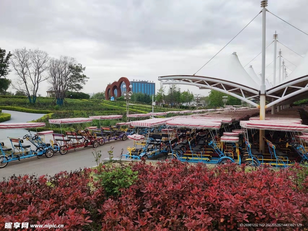 泰安花海观光车