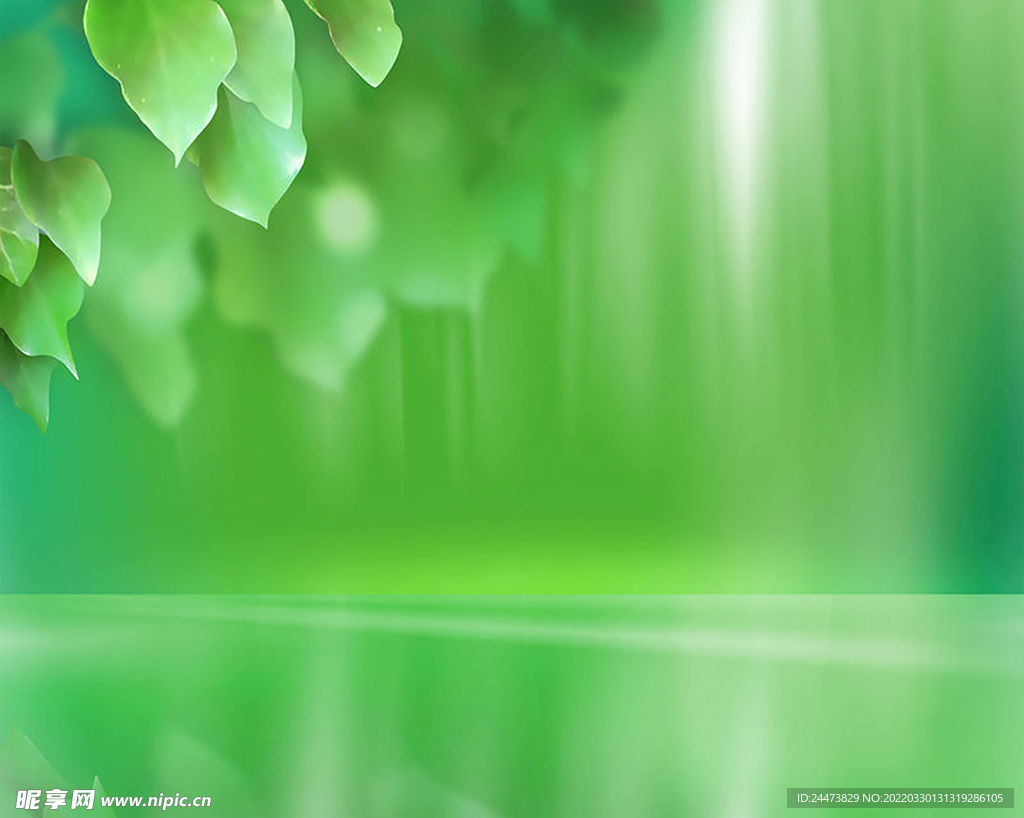 绿色叶子清新明亮环保素材背景