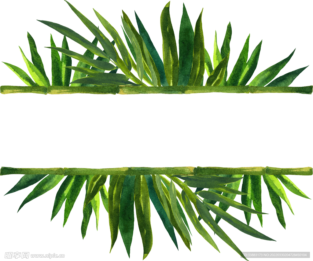 竹子树叶素材