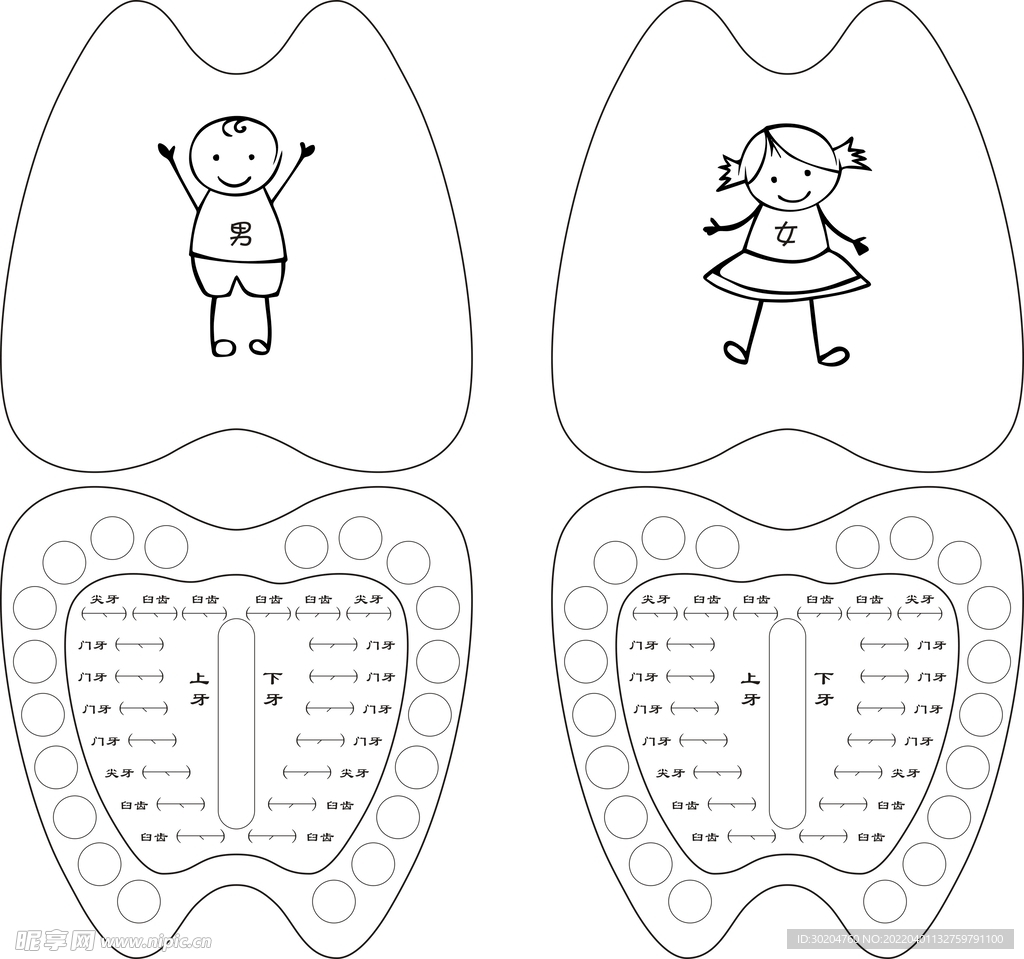 儿童牙齿换牙顺序收纳盒