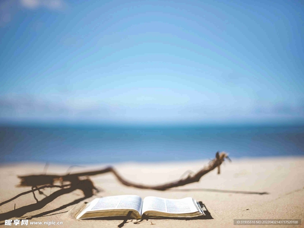 大海 海边 沙滩