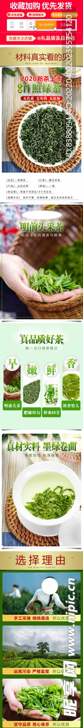 茶叶 详情页 新茶上市 日照绿