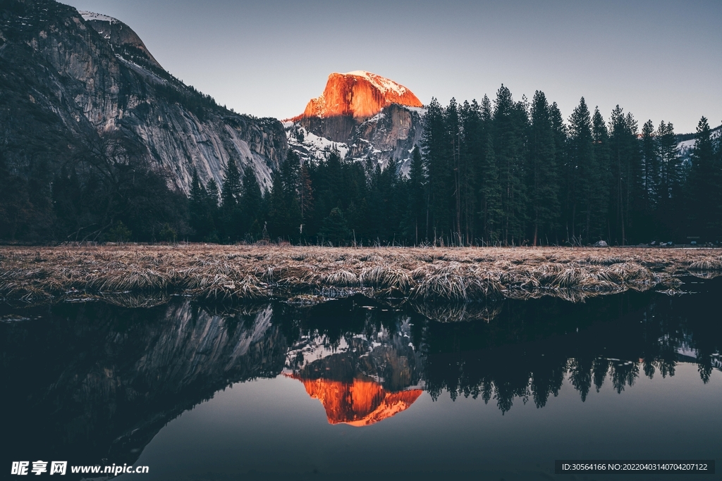 户外暗调森林湖面景观