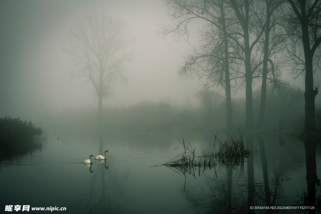 户外浓雾湖面
