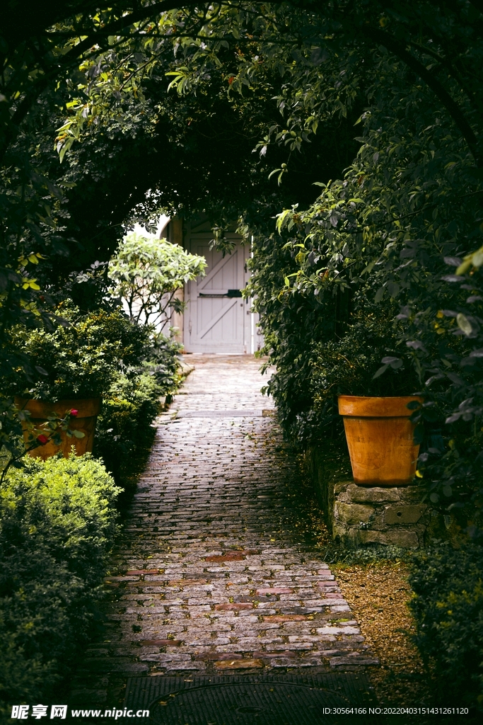 户外公园庭院公路