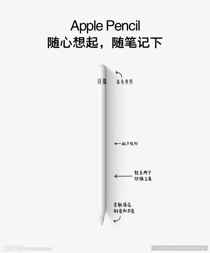 苹果 pencil