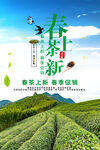春茶上市图片