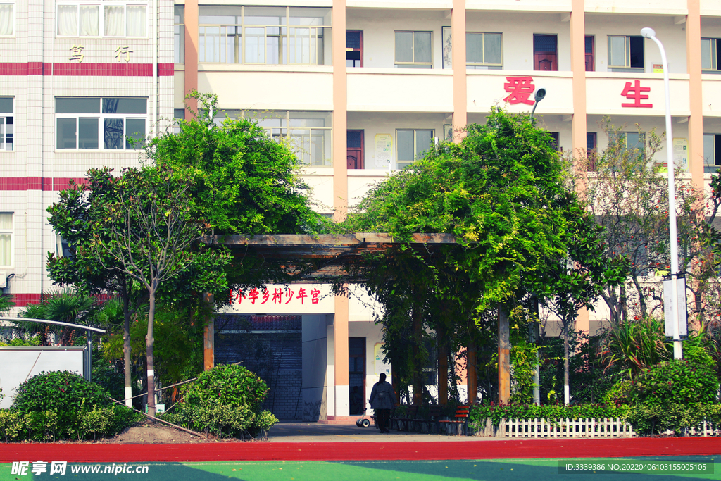 校园  风景  紫藤长廊