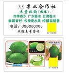 水果收购名片