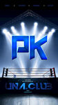 PK海报