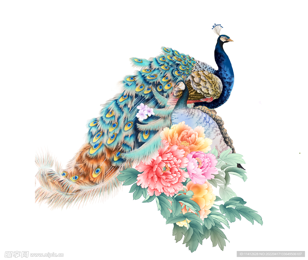手绘孔雀和花