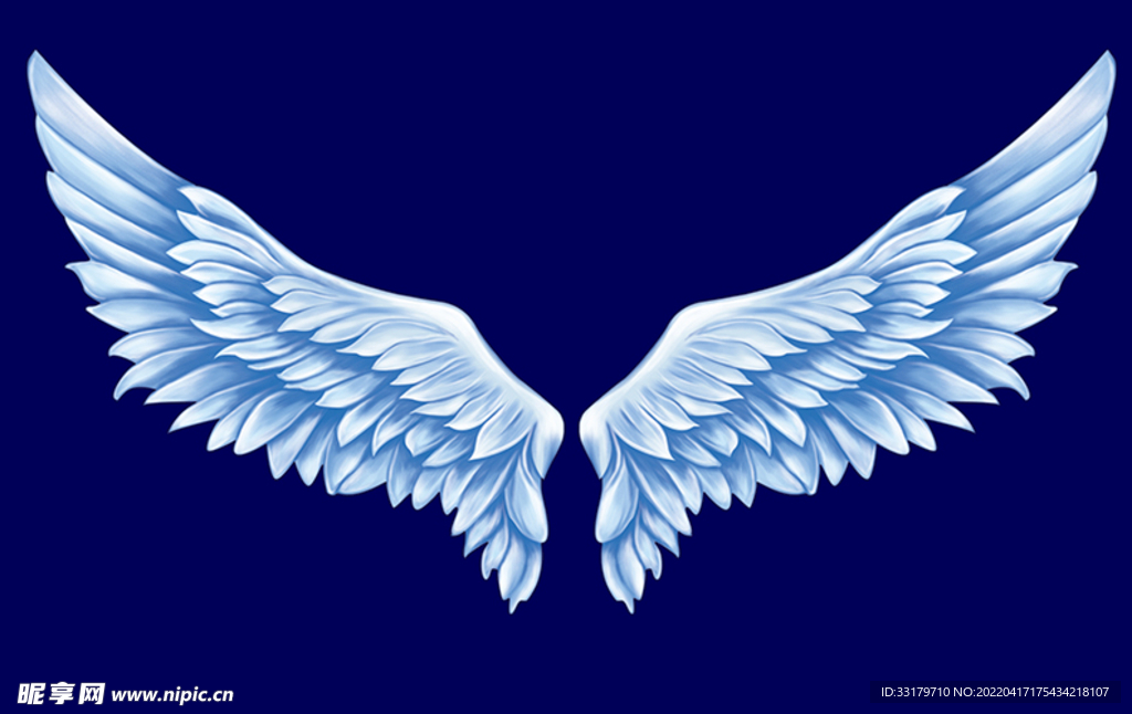 翅膀素材