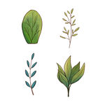 手绘卡通绿色植物元素