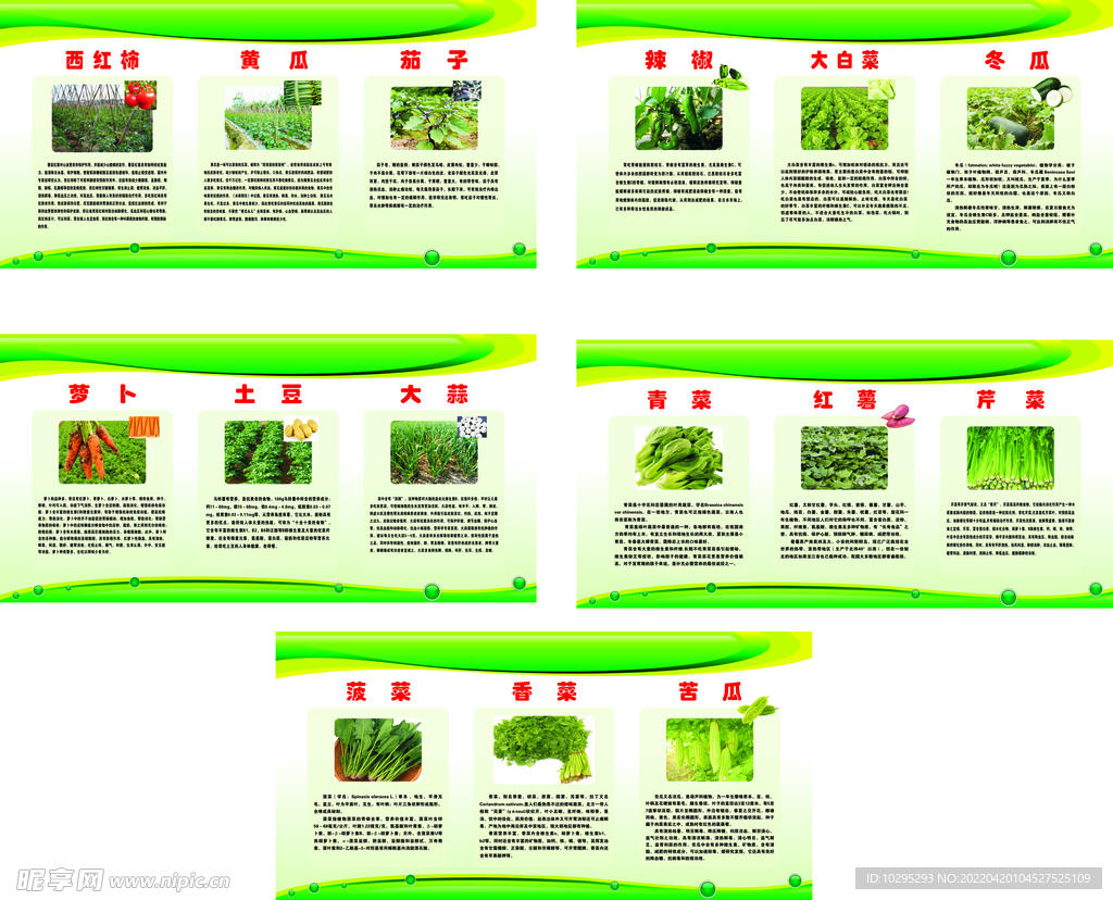 蔬菜展板