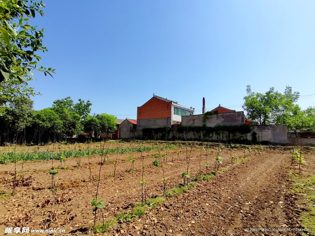 美丽的乡村风景
