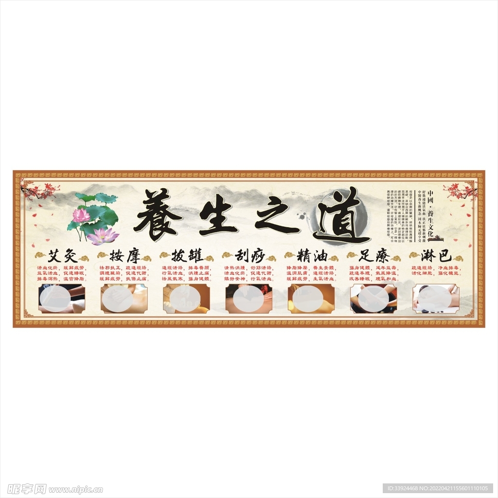 养生功效海报