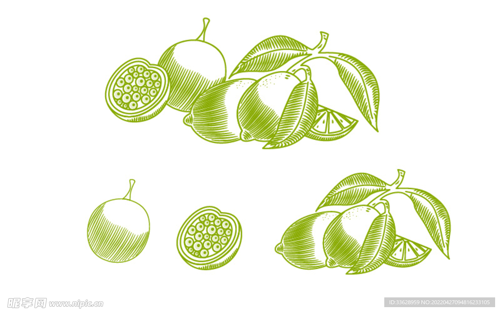 柠檬百香果插画