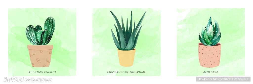 仙人掌盆栽三联无框画