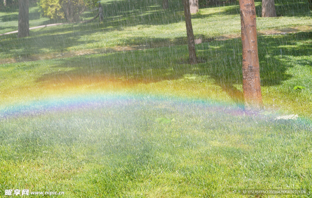 草地上的彩虹摄影