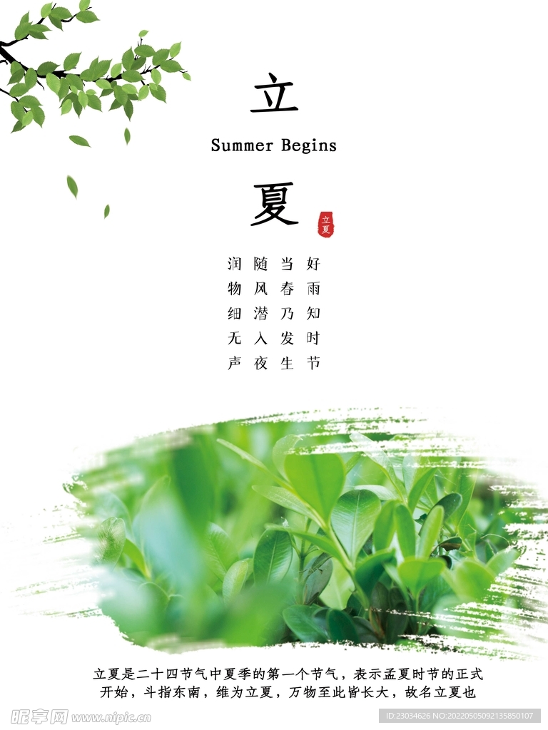 立夏节气海报传统24节气