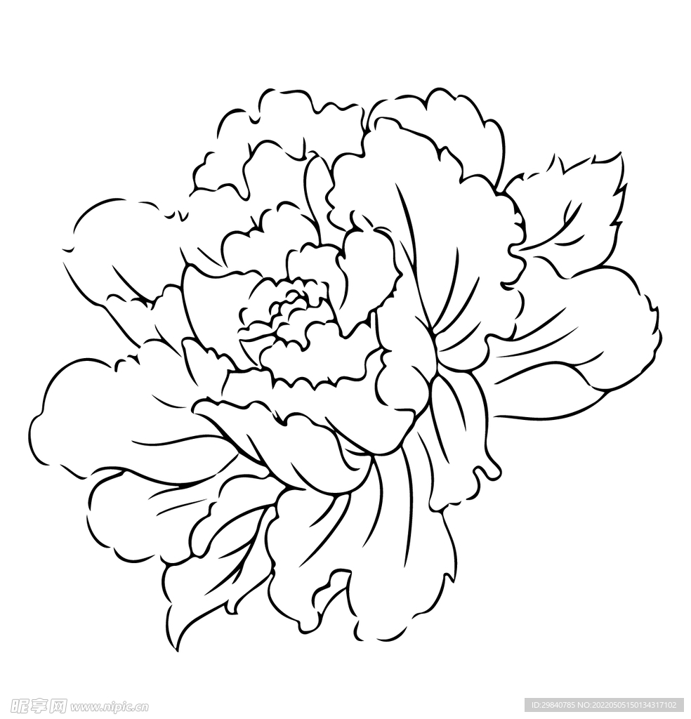 国潮牡丹花纹样黑白底纹矢量图