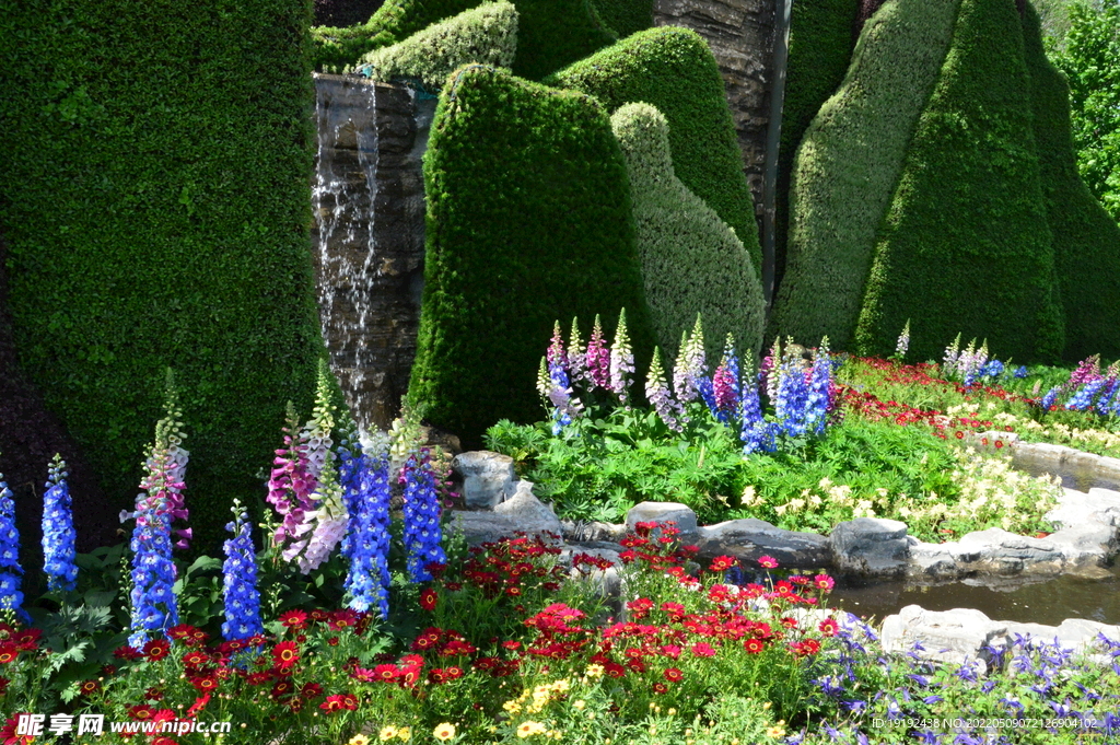 花坛风景 