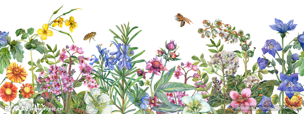 大牌 数码 动物定位花 水彩