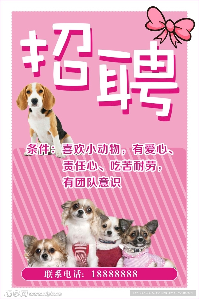 宏物店招聘海报