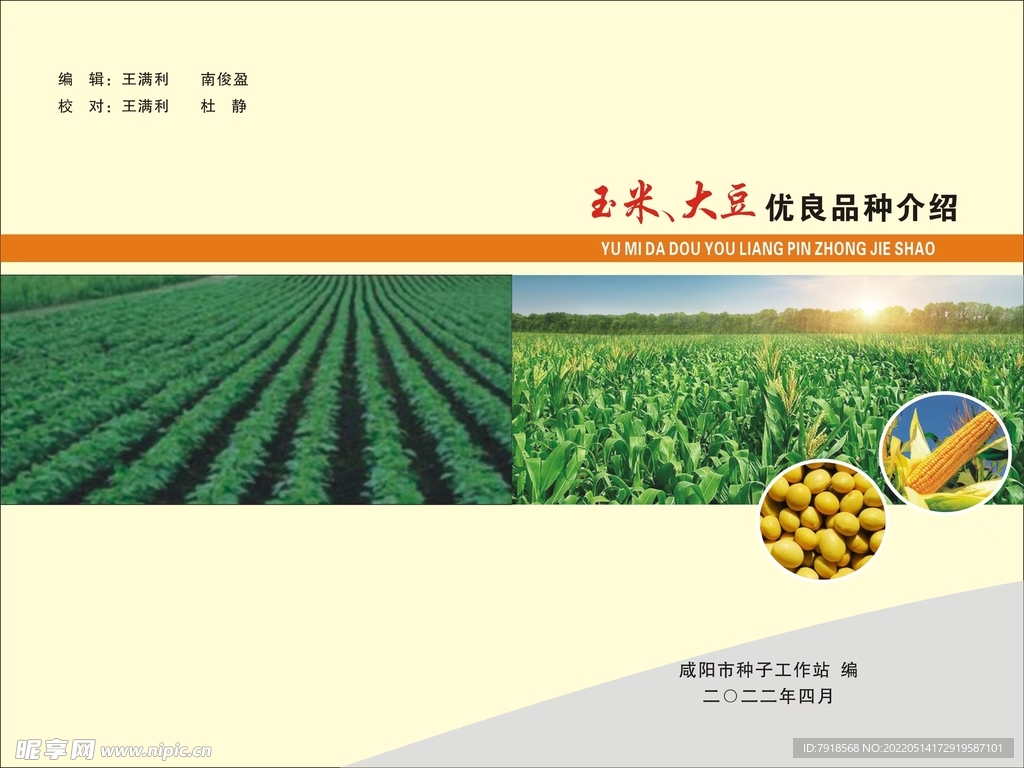 玉米大豆优良品种介绍