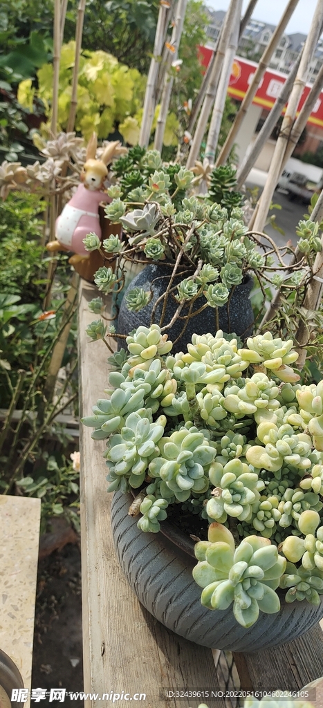 花园里的装饰物