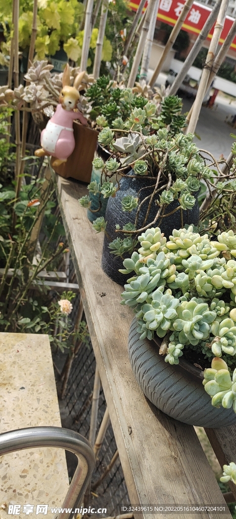 花园里的装饰物