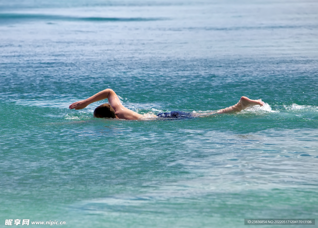 游泳图片 游泳馆图 游泳运动 