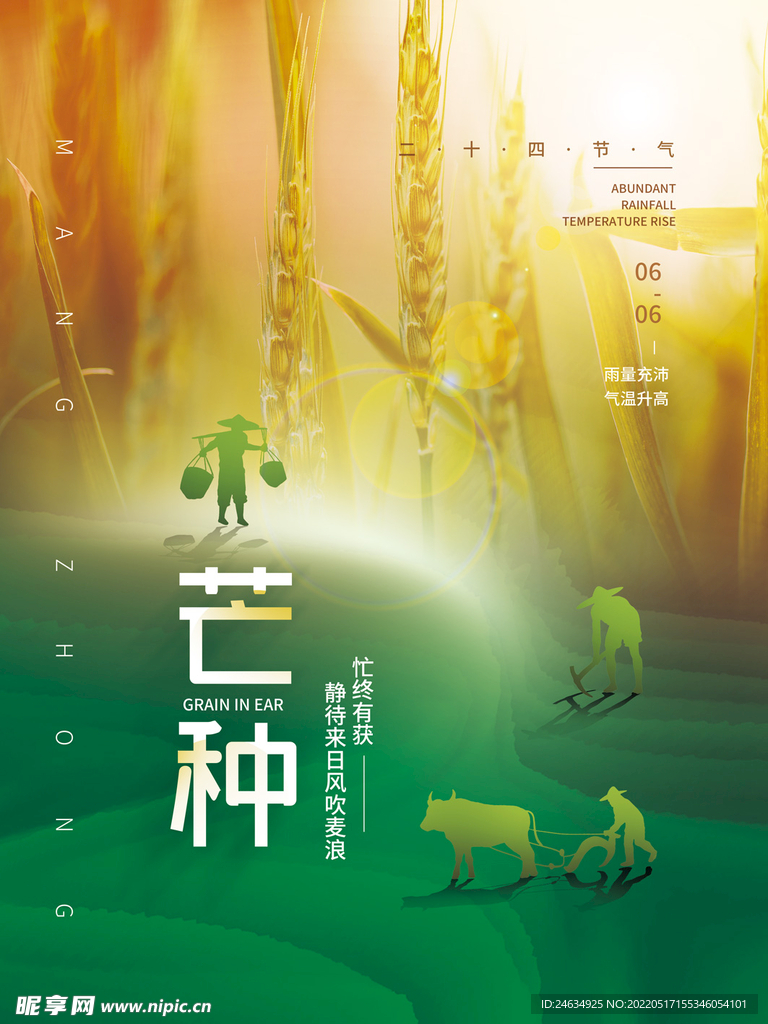 芒种二十四节气简约海报