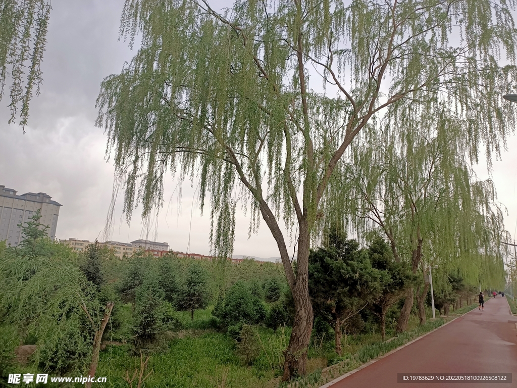 凉州植物园一角