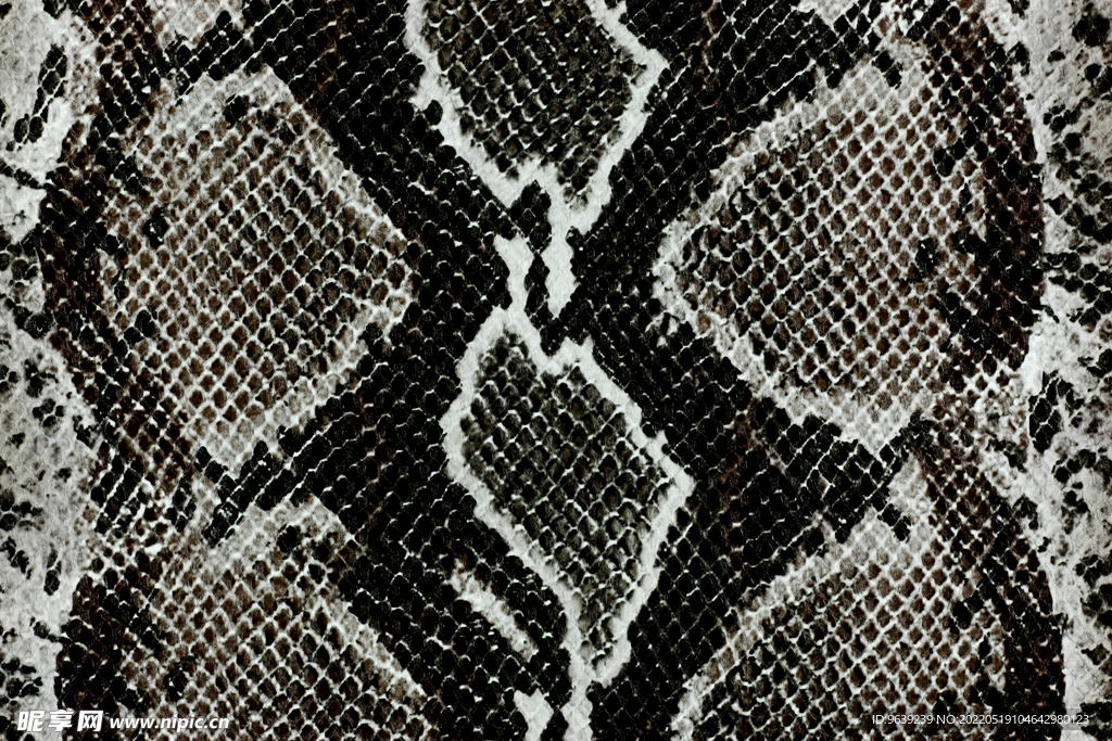 蛇纹蛇皮