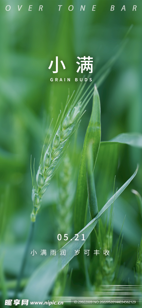 小满 芒种 夏至 节气海报