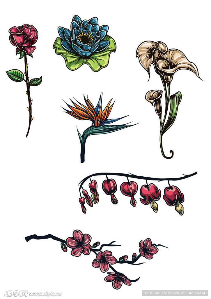 手绘花朵矢量图