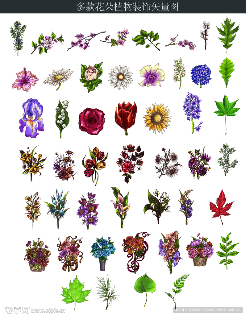 多款花朵植物装饰矢量图