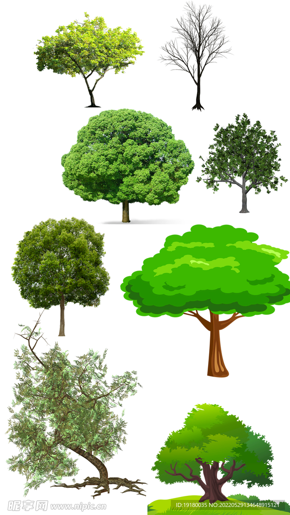 花圃树木高清免扣素材