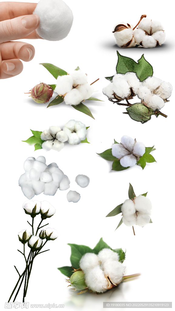高清免扣棉花素材