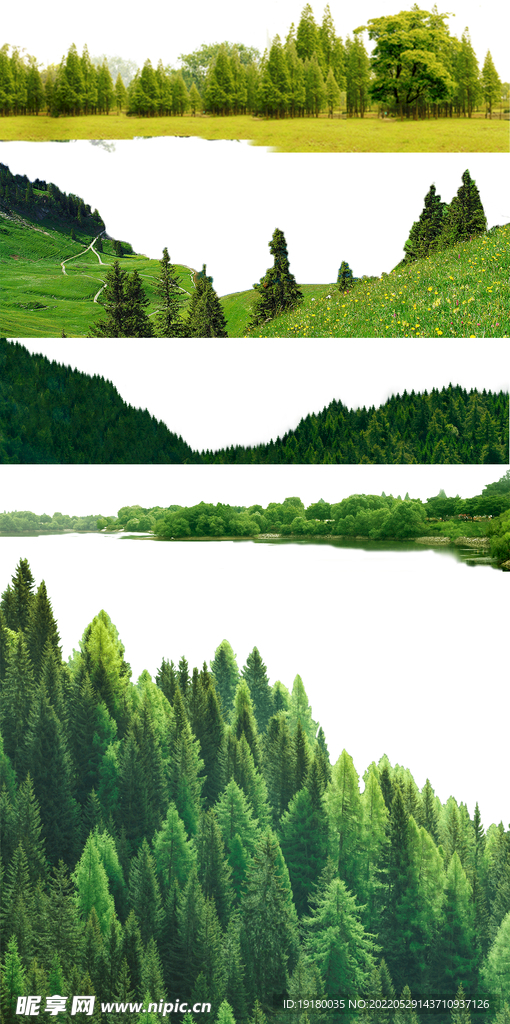 高清免扣森林素材