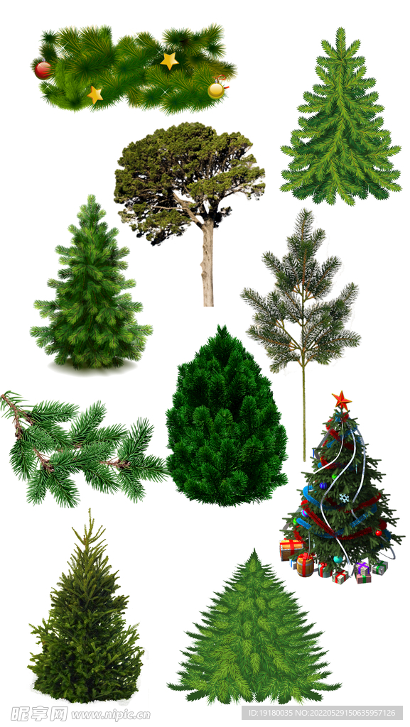 花圃树木高清免扣素材