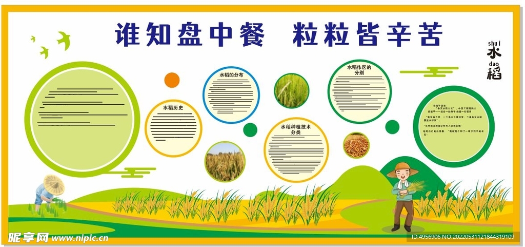 水稻知识文化墙
