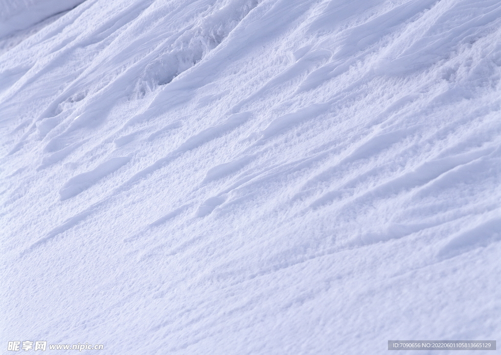 万籁俱寂的冬季    