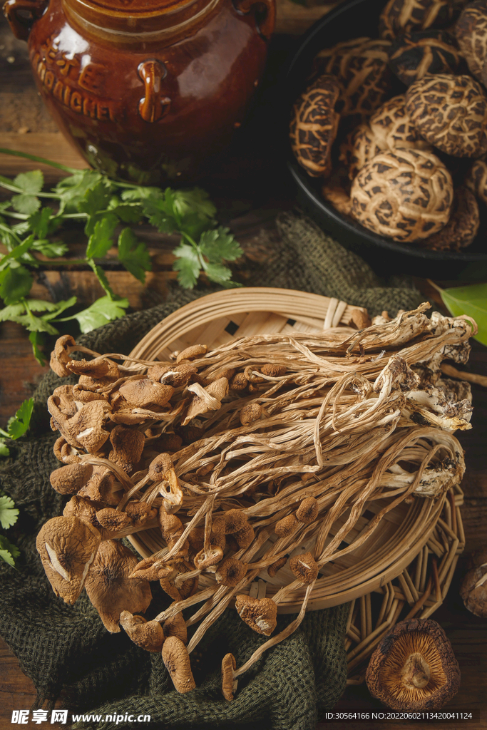 新鲜茶树菇食材